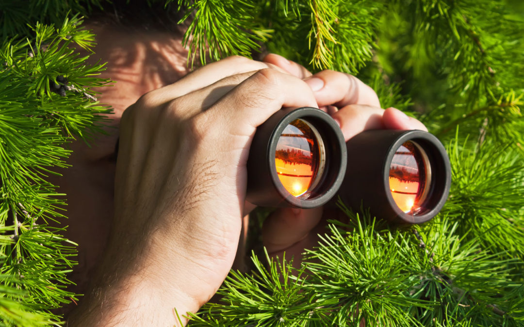 Covert Surveillance HMRC Undercover Independent Tax