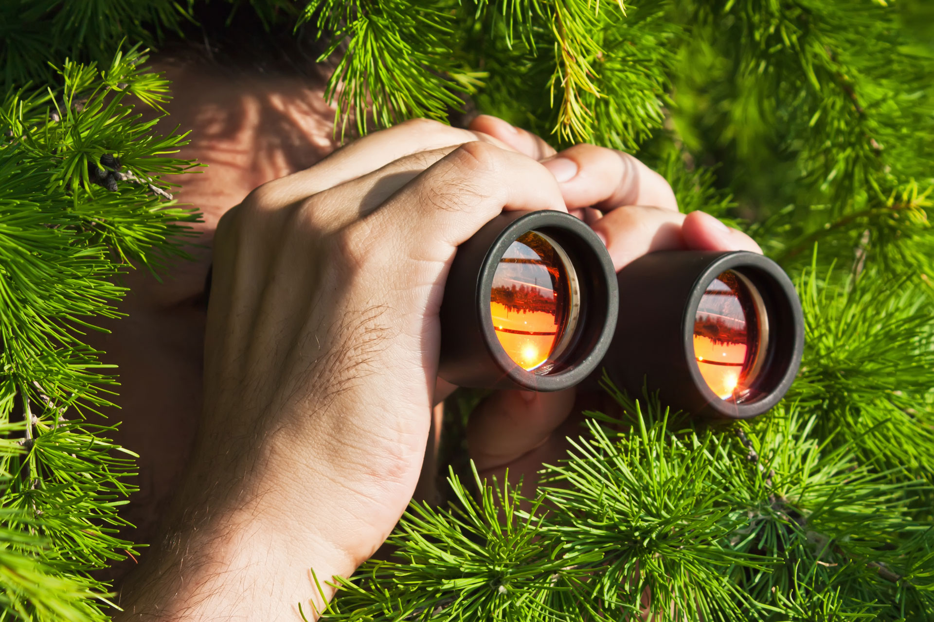 Covert Surveillance: HMRC Undercover Independent Tax Covert Surveillance: HMRC Undercover Independent Tax