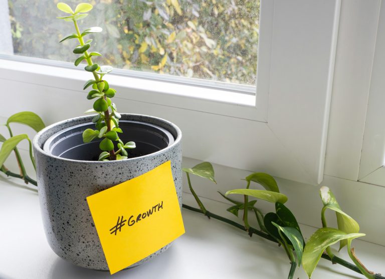 we are growing